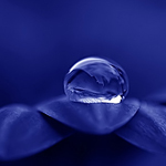 Unique Macro Photography
