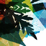 29 Free Photoshop Nature Brush Sets