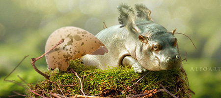 40 (NEW) Good Quality Adobe Photoshop Tutorials