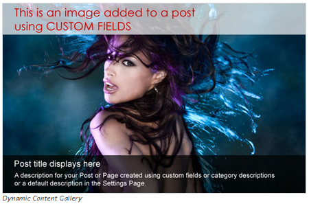 free image gallery wordpress. So feel free to leaf through them and choose the free wordpress plugins that 