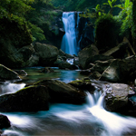 30 Free Natured-Themed Wallpapers