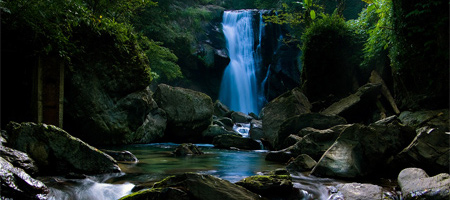 30 Free Natured-Themed Wallpapers