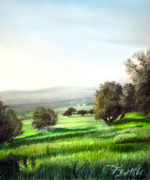 olive trees in my area, pastel