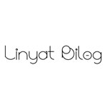 30 Free and Classy Thin Fonts
