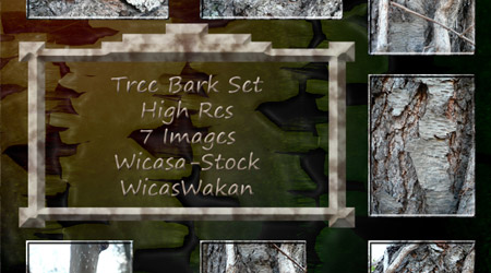 Tree Bark Textures