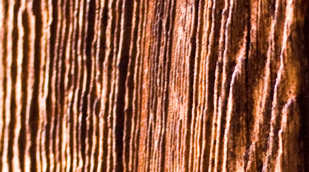 Free Wood Textures