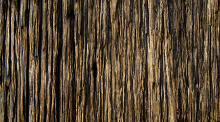 Free Wood Textures