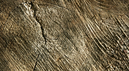 Free Wood Textures