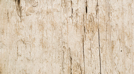 Free Wood Textures