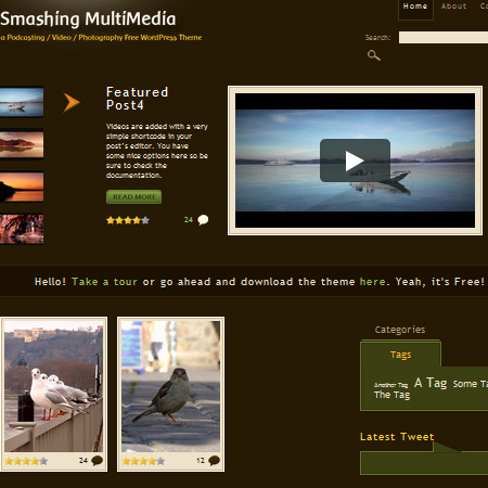 Free Podcasting, Video and Photography WordPress Theme