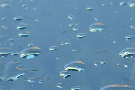 Seamless Water Drop Texture