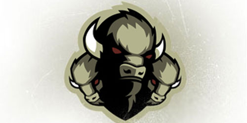 Buffalo Stampede Hockey Club