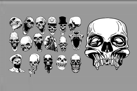 skull vector image