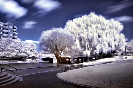 a different world in infrared
