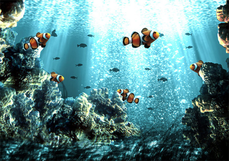 Underwater Wallpaper