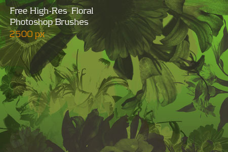 Free Hi-Res Photoshop Brushes-Floral