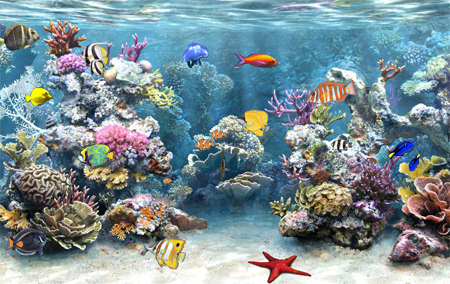 Fish in the Sea Wallpaper