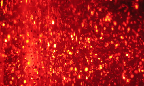 Red Christmas Texture