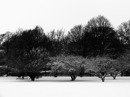 A Winter Black and white