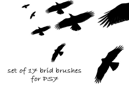 Set of 17 Bird Brushes for ps7