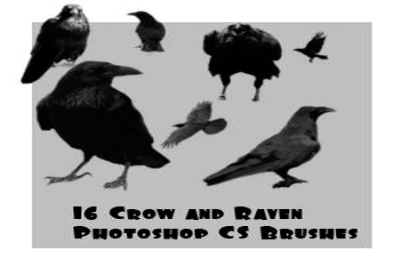 Crow and Raven Brushes