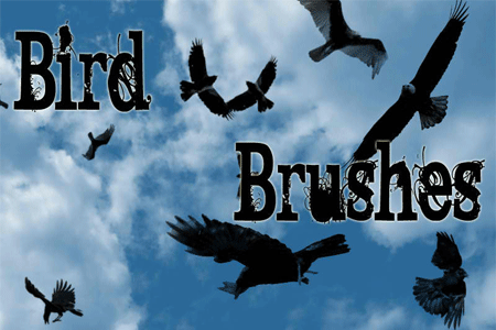 Photoshop Brushes Birds