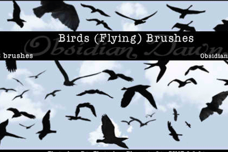 Birds Flying Brushes