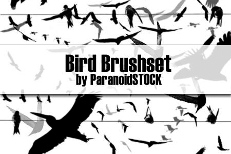 Bird Brushset