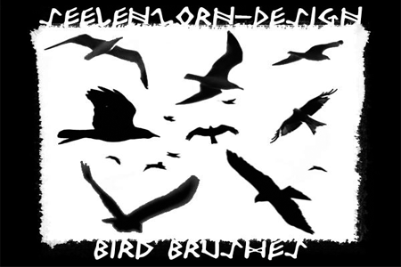 Bird Brushes