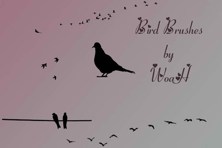 Bird Brushes