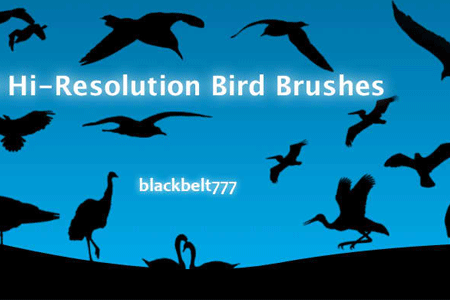 Hi Res Bird Brushes