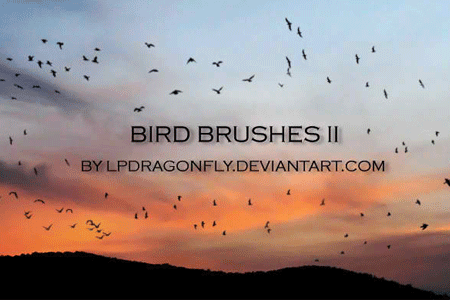 Bird Brushes