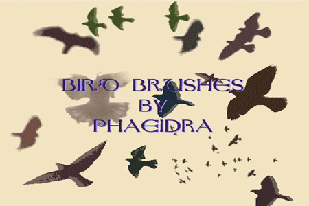 Bird Brushes