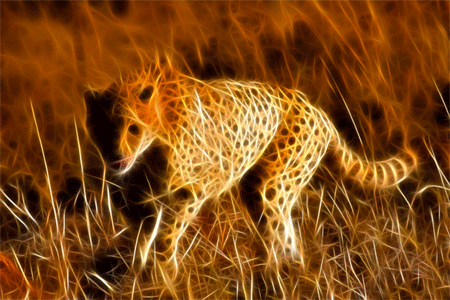 Cheetah Fractal