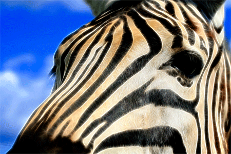 Zebra Profile Fractal II