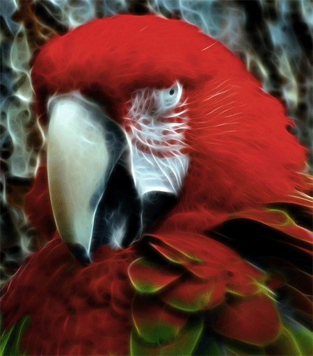 Green Winged Scarlet Macaw
