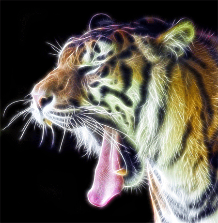 The Fractal Tiger