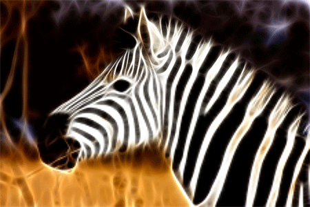 Zebra Profile Fractal
