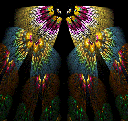 Butterflies Fractal