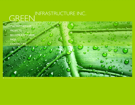 Green Infrastructure Inc.
