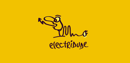 Electridude