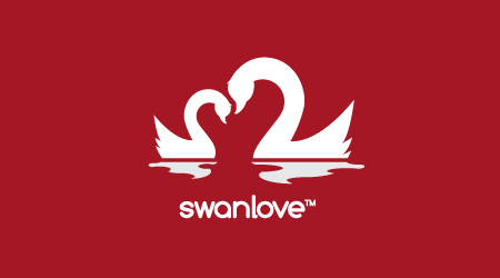 Swan Love