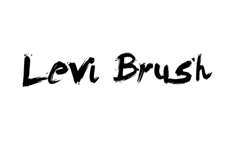 Levi Brush Font