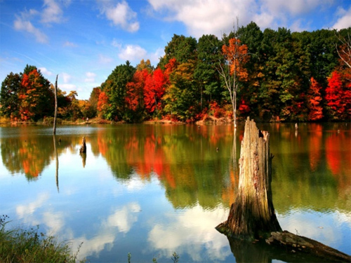 Autumn Lake wallpaper