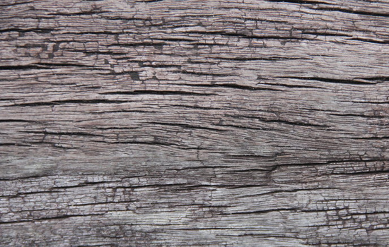 Texture : Wood 1
