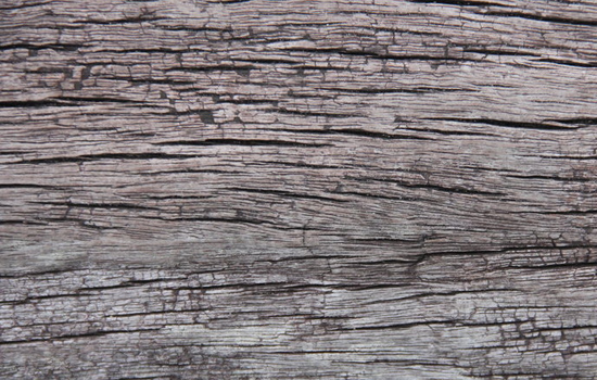 High Resolution Wood Deck Seamless Texture